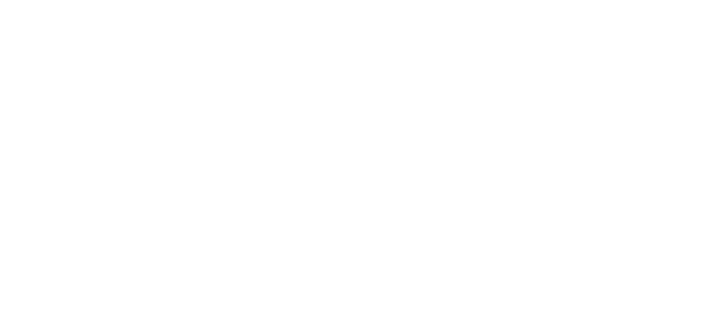 Economic development and security